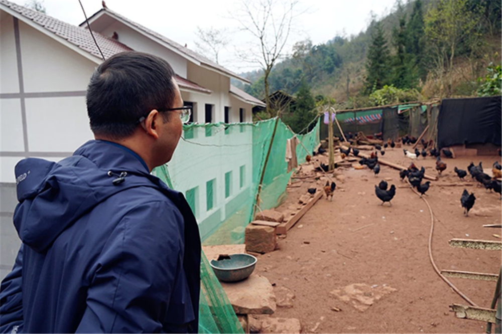 金年会|jinnianhui金年会·(金字招牌)诚信至上官网