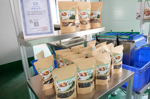 金年会|jinnianhui金年会·(金字招牌)诚信至上官网