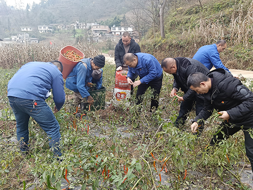 金年会|jinnianhui金年会·(金字招牌)诚信至上官网