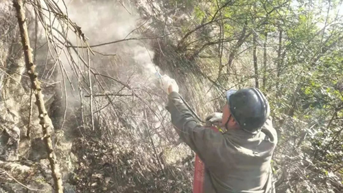 金年会|jinnianhui金年会·(金字招牌)诚信至上官网