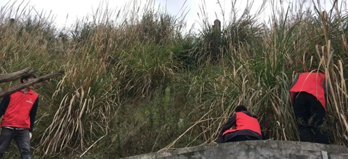 金年会|jinnianhui金年会·(金字招牌)诚信至上官网