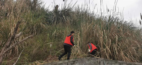 金年会|jinnianhui金年会·(金字招牌)诚信至上官网