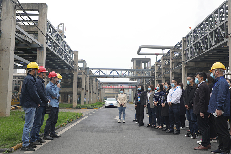 金年会|jinnianhui金年会·(金字招牌)诚信至上官网