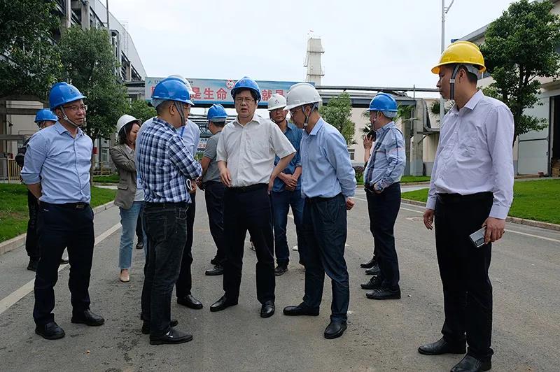 金年会|jinnianhui金年会·(金字招牌)诚信至上官网