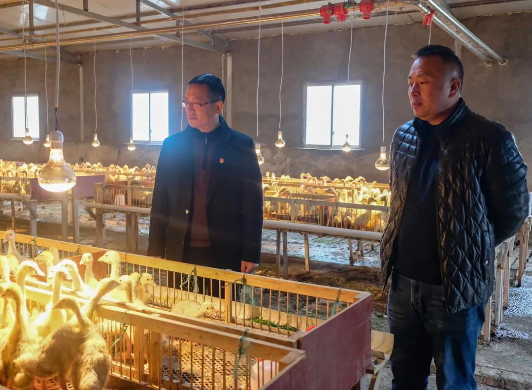 金年会|jinnianhui金年会·(金字招牌)诚信至上官网