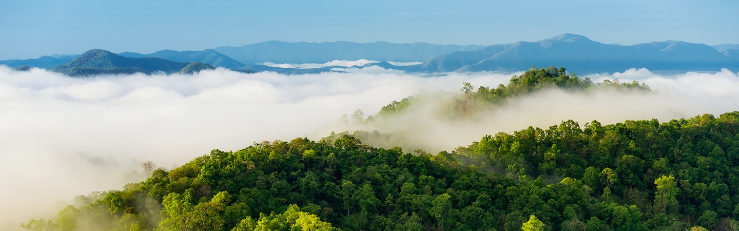 金年会|jinnianhui金年会·(金字招牌)诚信至上官网