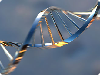 金年会|jinnianhui金年会·(金字招牌)诚信至上官网