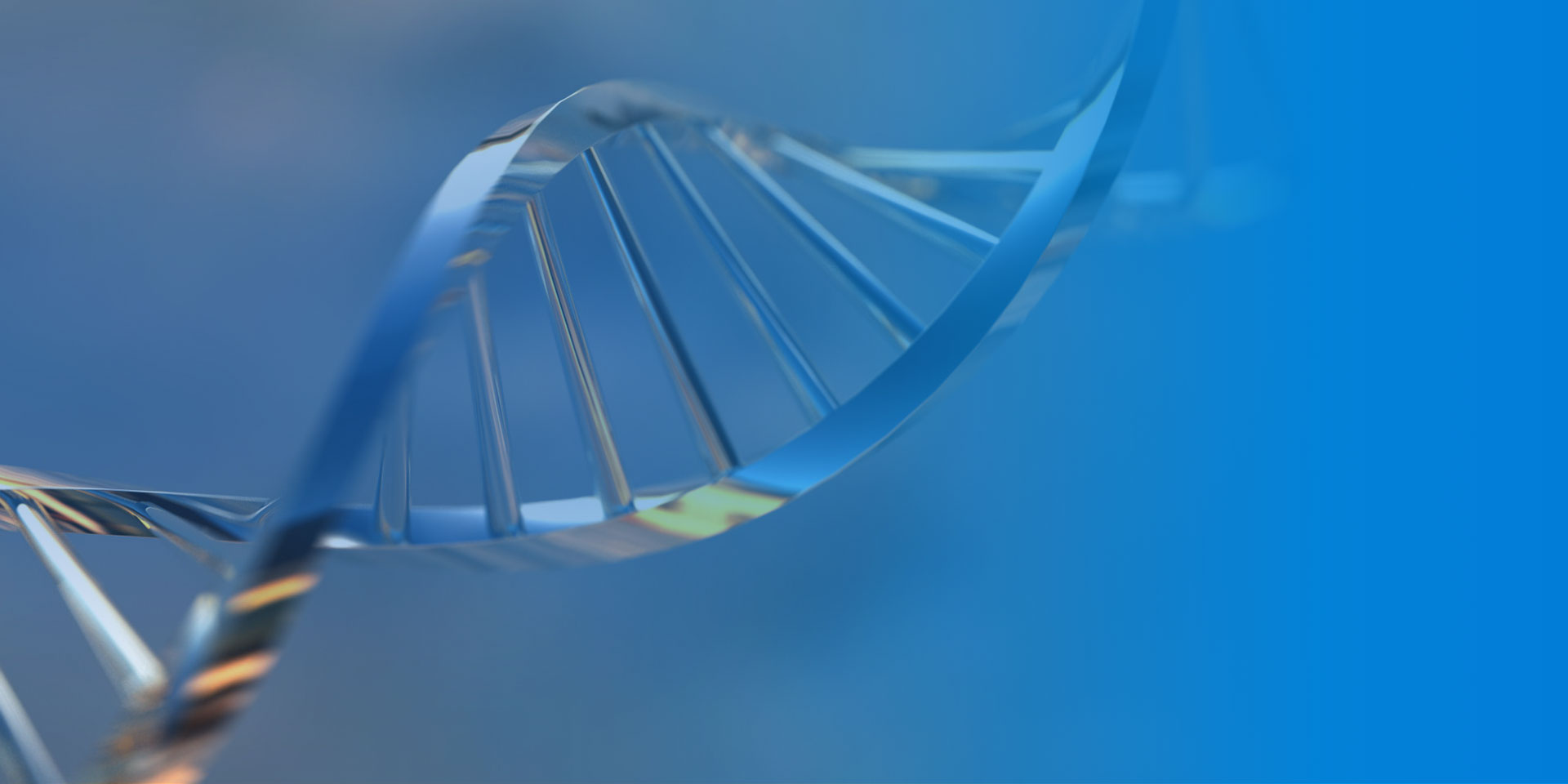 金年会|jinnianhui金年会·(金字招牌)诚信至上官网