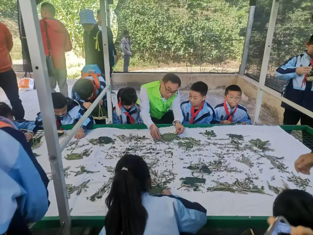 金年会|jinnianhui金年会·(金字招牌)诚信至上官网