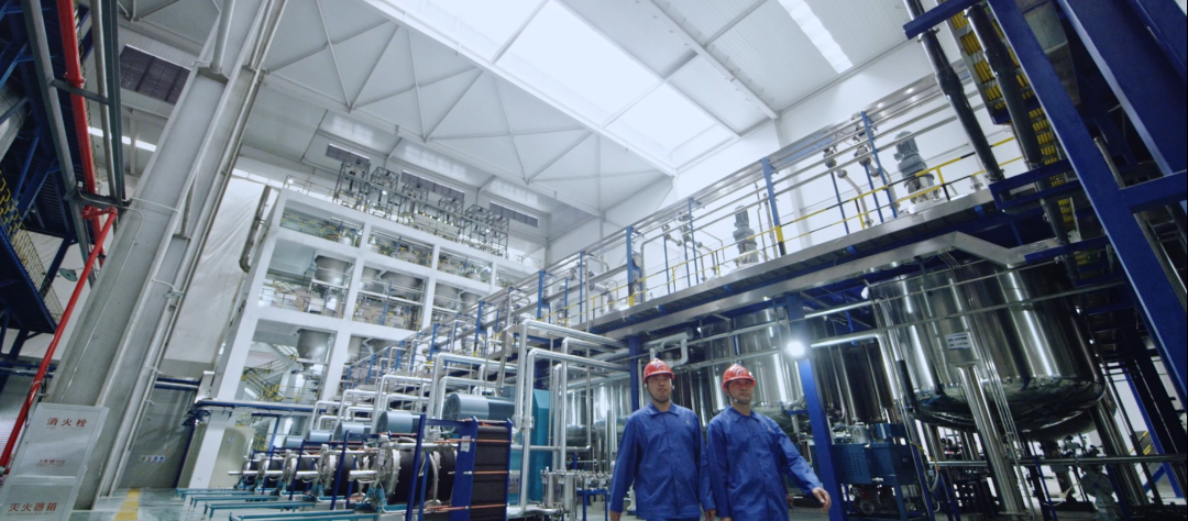 金年会|jinnianhui金年会·(金字招牌)诚信至上官网